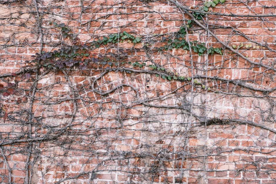 חיפוי קיר דמוי בריקים - תמונה ראשית