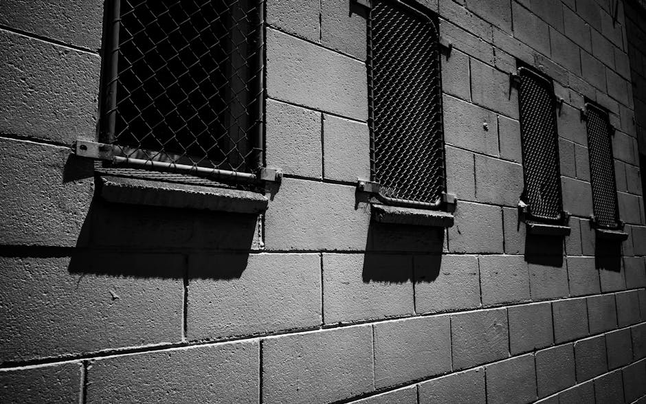 בריקים שחורים