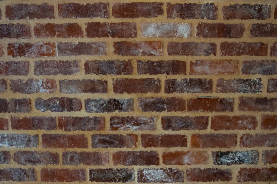 כוחלה לבריקים