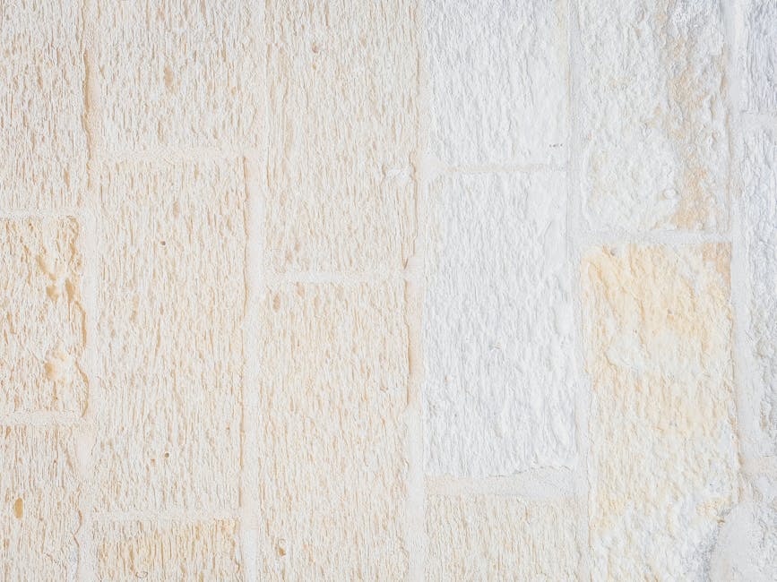 בריקים מגבס